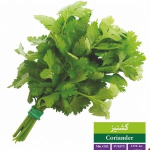 انواع مختلف بذر سبزی وصیفی