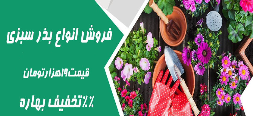 بذر سبزی